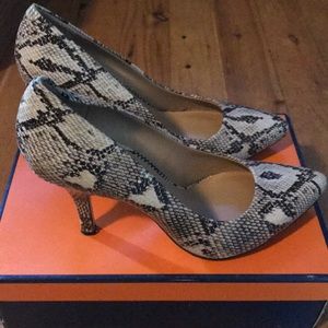 Arturo Chiang python heels EUC